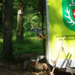 Infomobil beim Waldtag Infomobil beim Waldtag