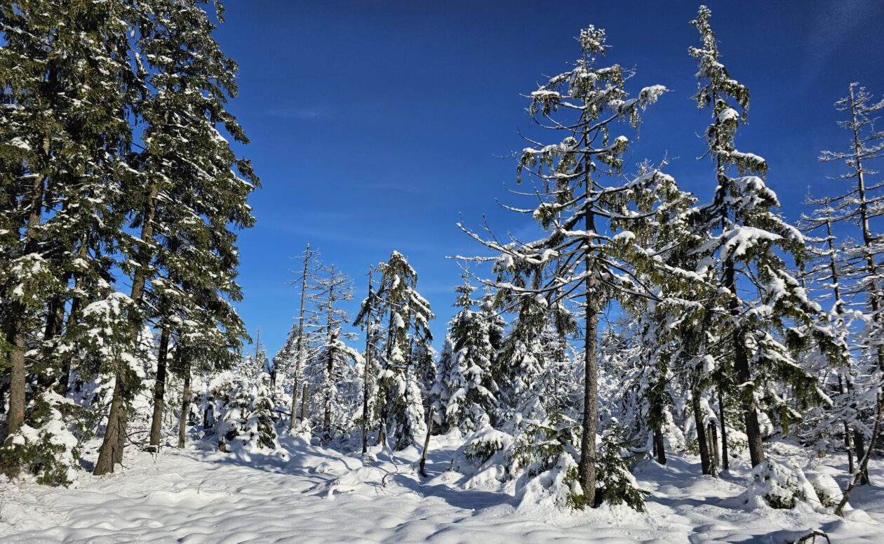 Jägerschaft des Landkreises Uelzen e.V.